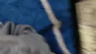 做爱经验6人的幼保科学生花季美少女约炮喜欢被捅到底会痛的感觉肉棒一插就嗲叫内射无损4K