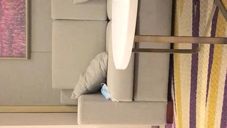我和我的祖国预售破亿